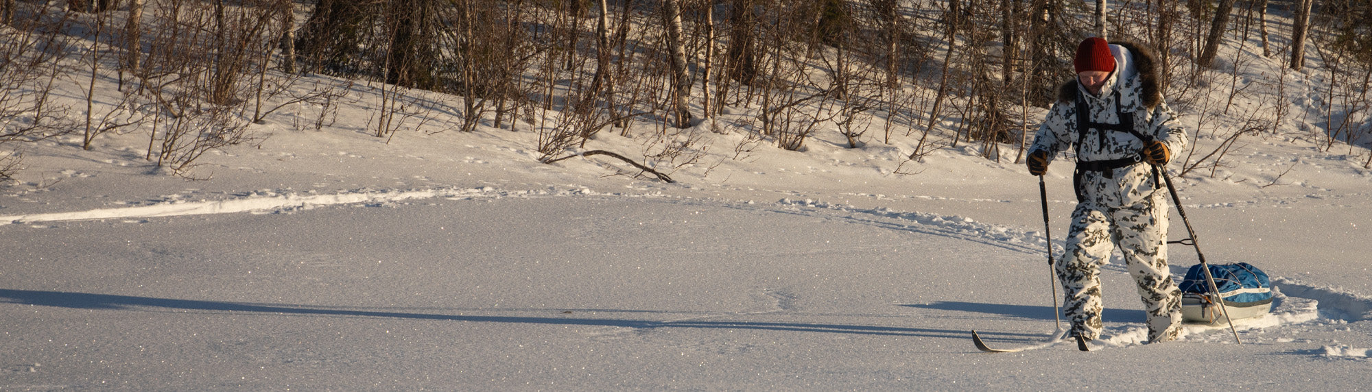 Snowhawk