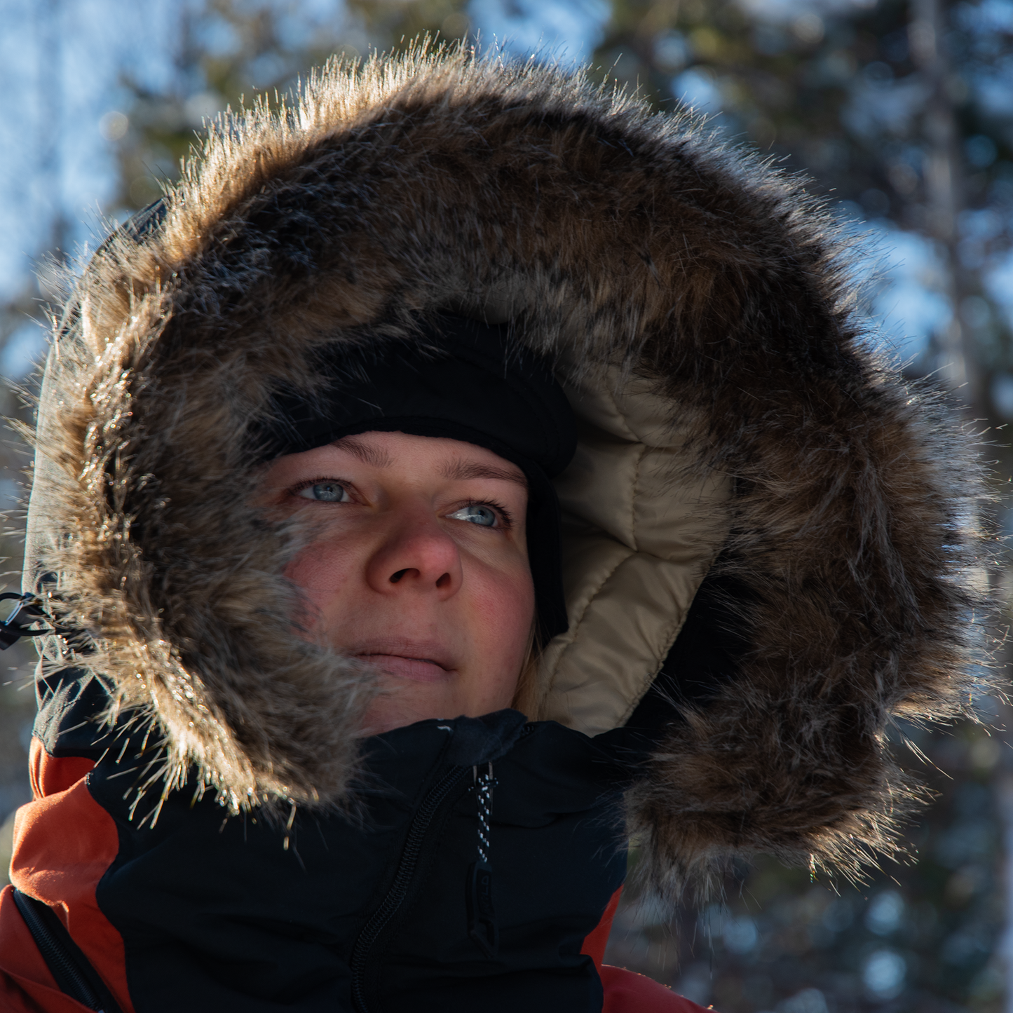 PORO COAT (Waterproof, Premium Insulation) - Rust / Black