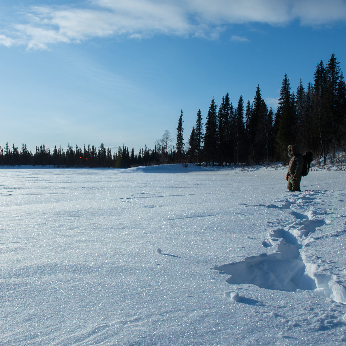 Iceraptor Overall - Steingrau / Olive