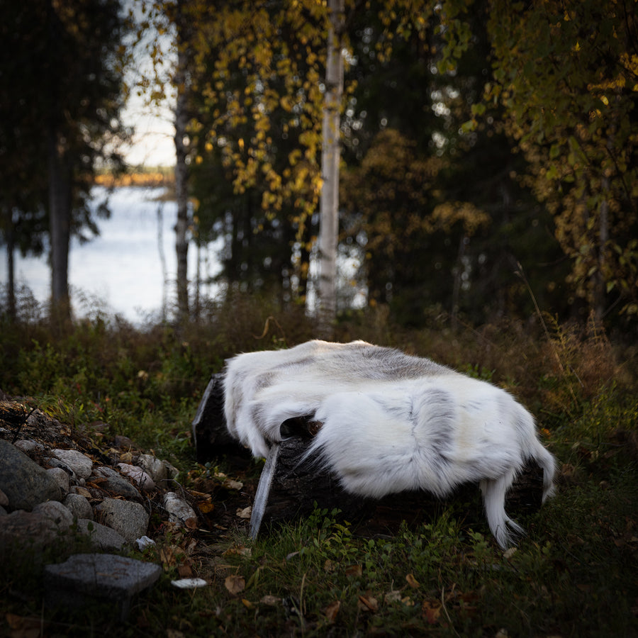 PORO Reindeer Hide lifestyle