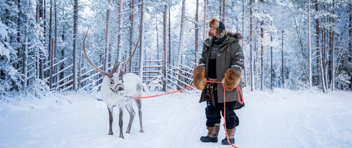 Wild — reindeer herder in winter Lapland